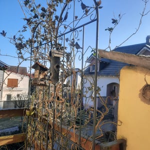 WISFOR Treillis, set de 2, 182cm Treillis pour rosiers Aide pour grimper en métal, Treillis pour fleurs inoxydable, Décoration de jardin Photo du client 1