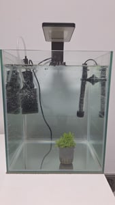 Aquael Shrimp Set Day&Night 20L Schwarz - Aquarien-Set Kunden-Foto 1