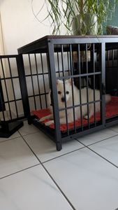 WISFOR Hundekäfig mit 3 Türen, Hundebox Hundehaus mit Tischoberfläche, Transportbox Drahtkäfig, Hundekiste Beistelltisch, M: 78.5x56.8x65cm, schwarz Kunden-Foto 8