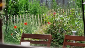 PINEEA Staketenzaun aus Haselnuss 60 cm Hoch – 5m Langer Holzzaun für Garten, Pflanzenschutz & Deko – Wetterfest – Lattenabstand 7–8 cm Kunden-Foto 2