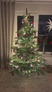 Weihnachtsbaum Allison Kiefer klappbar Baum - 1244 Tipps - H180 x Ø 112 cm Kunden-Foto 2