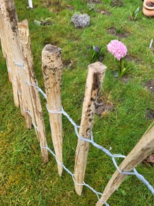 SEVICO 5m Staketenzaun 60cm x 5m mit Lattenabstand 7-8cm mit Pflock Zaunlatte Gartenzaun aus Haselnuss Natur STAHLKRAMPEN GRATIS V112 7-8 Kunden-Foto 9