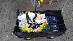 KESSER® Bollerwagen 550kg belastbar Gartenwagen Transportwagen Gartenkarre herausnehmbare Plane Gerätewagen Handwagen vielseitig einsetzbar inkl. Handschuhe Kunden-Foto 1
