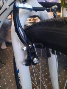 HILAND Rocket 20 Zoll Kinderfahrrad Mountainbike Kinder MTB für Jungen und Mädchen mit Shimano 6 Gang Schaltung Licht Gepäckträger, Weiß Kunden-Foto 16