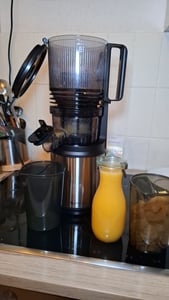 AMZCHEF Entsafter mit 113MM Einfüllöffnung, 1,8 L Slow Juicer, Entsafter für Gemüse und Obst, Leicht zu Reinigen, Silber Kunden-Foto 6