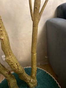 VEVOR Albero di ulivo artificiale, 2,1 m, con vaso nero, albero artificiale con tronco in legno naturale e foglie e frutti verdi realistici, pianta artificiale per uso interno, casa, ufficio, salotto Foto del cliente 1