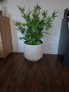 HEOS DBHER470-S449 Outdoor-Pflanztopf mit Einsatz weiß Kunden-Foto 3
