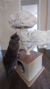 Designerski drapak Fudajo w kształcie gałęzi o wysokości 130 cm, drapak dla kota z pluszu i sizalu, drzewko wspinaczkowe dla kotów, drapak dla kota z wiszącą leżanką Zdjęcie produktu od klienta nr 2