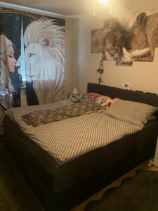 10cm Ergonomische 7-Zonen Kaltschaum Matratzenauflage Matratzentopper Matratzenschoner Topper - H2&H3 - (90 x 200 cm) - Träumegut24 Kunden-Foto 2