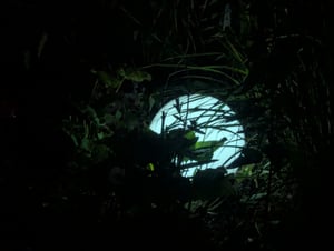 Solar, zonne-energie, bolvormige lamp, buitenverlichting, tuinverlichting, met grondpen, wit Klantenfoto 1