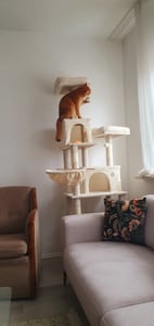 Feandrea XXL Kratzbaum, 199 cm, mehrstufig, mit Sisalstämmen, beige Kunden-Foto 17