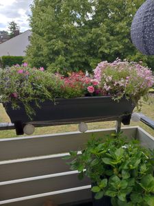 2x Balkonkasten 100cm Blumenkasten mit Wasserspeicher Anthrazit / Grau, 25 L - Blumenkästen wetterfest Pflanzkasten mit Einsatz Lange Balkonkästen für Garten und Balkon witterungsbeständig Kunden-Foto 1