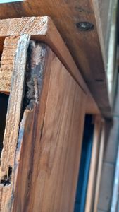 PARKSIDE Holzhochbeet3-Schicht-Hochbeet 1 Stck. Kunden-Foto 2