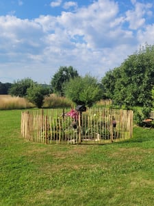 PINEEA Staketenzaun aus Haselnuss 60 cm Hoch – 5m Langer Holzzaun für Garten, Pflanzenschutz & Deko – Wetterfest – Lattenabstand 7–8 cm Kunden-Foto 1