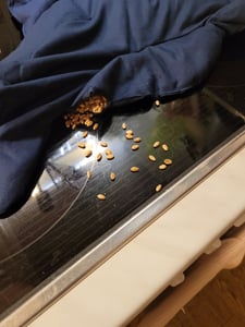 Nackenhörnchen HWS - Nacken + Schultern + Rücken - dunkelblau - Körnerkissen - Nackenkissen Wärmekissen - 2 in 1 - Wärme und Kälte möglich - Weizen Kunden-Foto 1