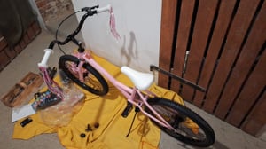 Joystar 20 Zoll Mädchenfahrrad mit Puppensitz und Korb, Kinderfahrrad mit Luftschlangen, vollständigem Kettenschutz und Schutzblechen Kunden-Foto 1