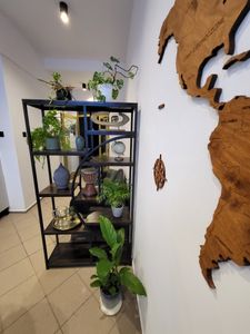 Piękna ozdoba mojego biura 