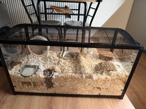SucceBuy Hamsterkäfig, 360° transparente Sicht, geräumig 96,5 x 47,5 x 55,6 cm, belüfteter Kleintierkäfig für Hamster, Mäuse, Meerschweinchen Kunden-Foto 1