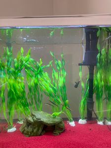 Nobleza 30L Aquarium Fischtank Nano Glas Wassermann Set mit Licht und Filter System Weiß Kunden-Foto 1