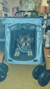 PawHut Hundewagen, Hundetrolley mit Kissen, faltbarer Hundebuggy, Katzenbuggy Kunden-Foto 2