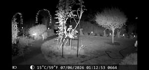 set di 2 repellenti solari a ultrasuoni per animali con rilevatore di movimento per giardino Foto del cliente 3
