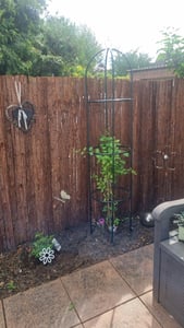 2 x Rankobelisk beschichtetes Metall 190 cm, witterungsbeständige Garten Rankhilfe für Rosen und Blumen, grün Kunden-Foto 1