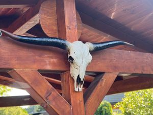 Deco Skull 132cm HWC-A14, Polyresin Bull Longhorn Head Trophy, Indoor/Outdoor ~ strieborná farba Fotografia od zákazníka č. 3