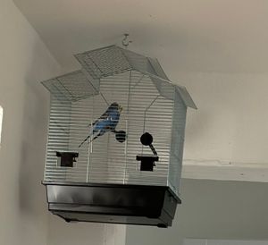 Vogelkäfig,Wellensittichkäfig,Exotenkäfig,60 cm Vogelkäfig Vogelbauer Wellensittich Kanarien Voliere Vogelhaus Käfig IZA 2 II schwarz Kunden-Foto 3