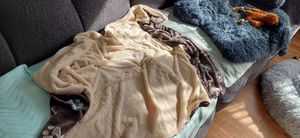 TRIXIE Decke Jimmy Soft - taupe/beige - 100 × 70 cm Kunden-Foto 2