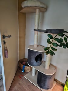 COSTWAY Cat Tree Wood Multi-level, 161 cm Cat Tree Large, Cat Tree with 2 dens & plyš perch & platform, Activity Tree Cat Furniture, Cat Playhouse, Climbing Tree Grey Fotografia od zákazníka č. 1