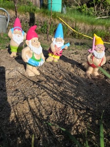 2 Gartenzwerge  auf dem Weg ins Freibad Kunden-Foto 1