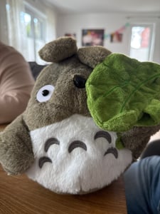 Lotusblatt Totoro Kuscheltier Puppe Kindergeschenk 30cm Kunden-Foto 3