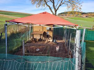 Outsunny Pavillondach Ersatzdach Pavillonabdeckung Polyester Grau 3x3m Kunden-Foto 1