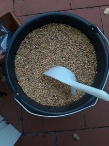 25 kg schalenloses Streufutter mit Mehlwürmer Kunden-Foto 8