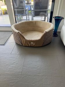 Knuffelwuff Orthopädisches Hundebett Lena aus Velours und Kunstleder mit hohem Schaumstoffrand XL 90 x 66cm Braun/Beige Kunden-Foto 1