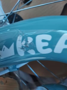 Joystar 20 Zoll-Kinderfahrrad, komplett mit Korb, Klingel, Schutzblechen und vollständig geschlossenem Kettenschutz, Rosa Kunden-Foto 1