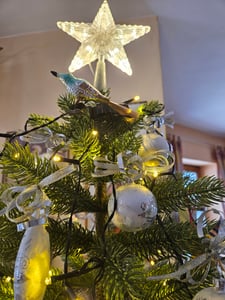 Weihnachtsbaum Spitze - LED STERN - 10 LED - mit Netzteil Kunden-Foto 1