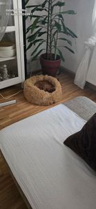 Peaceful Pooch M – flauschiges, orthopädisches Hundebett - 76cm Durchmesser Kunden-Foto 2