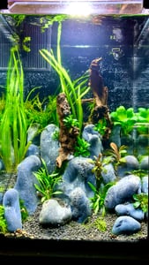 Set completo per acquario PawHut: acquario nano da 36 litri con illuminazione a LED e sistema di filtraggio Foto del cliente 1
