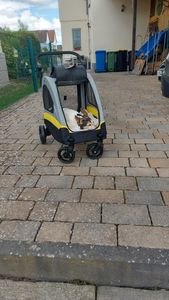 WISFOR Hundebuggy Faltbar, XL Hundewagen für mittelgroße und große Hunde bis 65kg,  Hundeanhänger Hundetasche mit verstellbar Griff Kunden-Foto 16