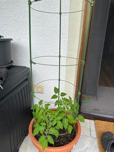 Tuteur Relaxdays, lot de 2, 4 anneaux, H x P : 91 x 28 cm, fleurs et plantes potagères, métal et plastique, tuteur pour plantes, vert Photo du client 1