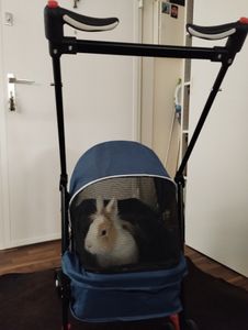 Poussette pour chiens avec fenêtre en maille, pliable avec 2 laisses de sécurité, pour petits chiens et chats, Oxford noir Photo du client 3