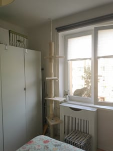 Fudajo kraboom, tot aan het plafond, 230–276 cm, beige. Kraboom voor katten met 4 niveaus, verstelbare hoogte, bevestiging aan het plafond. Kattenmeubel met sisal Klantenfoto 4