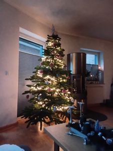 Hoogwaardige kunstkerstboom, Spaanse dennensoort, 220 cm Klantenfoto 13