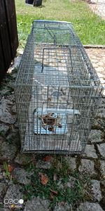 Petigi Tierfalle Lebendfalle für kleine bis mittelgroße Tiere wie Maus, Katze, Marder, Fuchs, Otter, Kaninchen, Modell: , Größe / Modell:Stable 6 (120 x 34 x 42 cm) Kunden-Foto 5