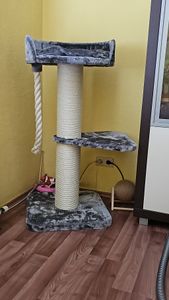 Toller Kratzbaum 