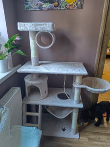tectake® Kratzbaum Marcel 141 cm inklusive Treppe, Spielkordel und Kippschutz Kunden-Foto 7