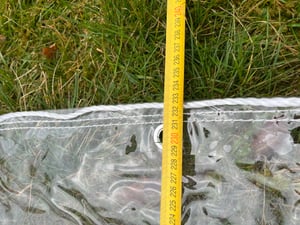 (0,8 x 1,2 m) Regenschutz, wasserdichte transparente PVC-Plane (Polyvinylchlorid) mit Ösen, wetterfeste, langlebige Überdachungen für Gartenmöbel, Pflanzen, Gewächshaus, Haustierstalldach Kunden-Foto 5