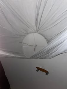 Moskitiera na łóżko 60x250x1200cm Zdjęcie produktu od klienta nr 2