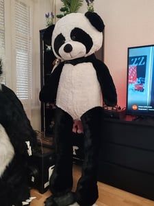 XXL panda 220 cm duża miękka zabawka pluszowa pluszowy miś Zdjęcie produktu od klienta nr 2
